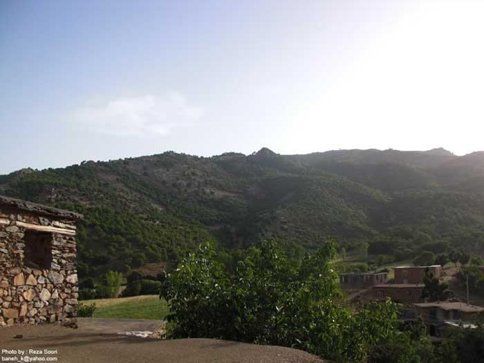 روستای نژو بانه-tXVNR3t0zt