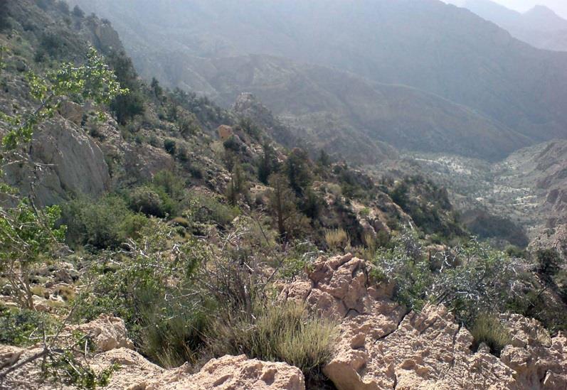 منطقه حفاظت شده كوه باز-tgc9kKkwpp