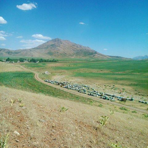 روستای چقاگرگ-thnw0FC4yN
