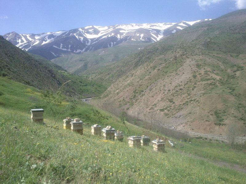 روستای لسبو-tsEg29O9eb