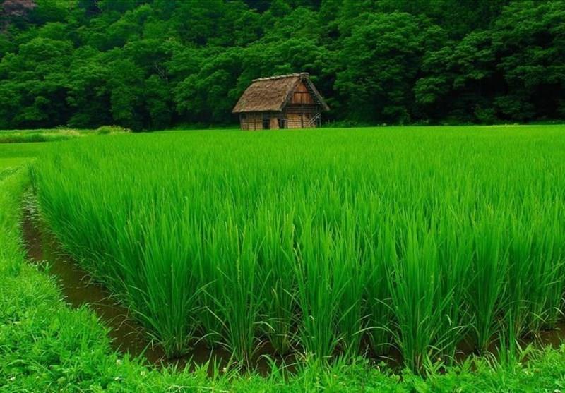 روستاهای آستانه اشرفیه ( معرفی ۹۱ روستای آستانه اشرفیه )-tuFTio1nzp