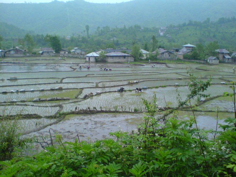 روستای سیاه منسه-twv1boCmfi