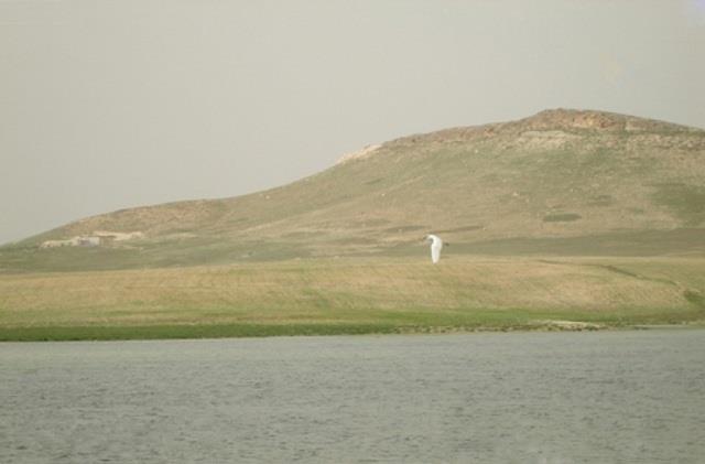 شیرین سو-txIyuAhAyW