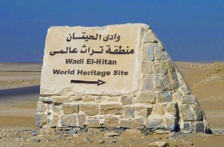 دهكده نهنگ ها در مصر-tzXHMUWVB6