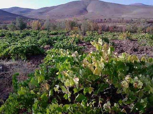 روستای ارجنك شهركرد-uGqRiVdYIq