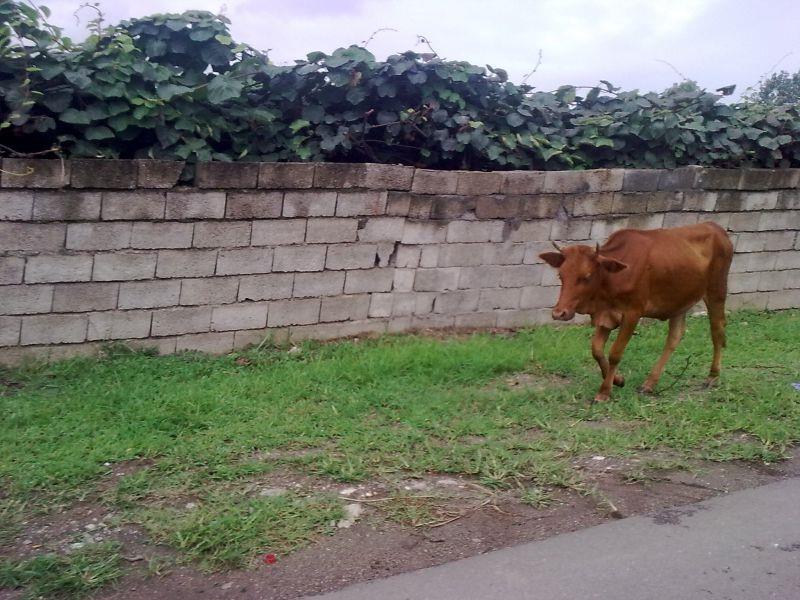 روستای سرتاكرات-uI3iTQwmvx