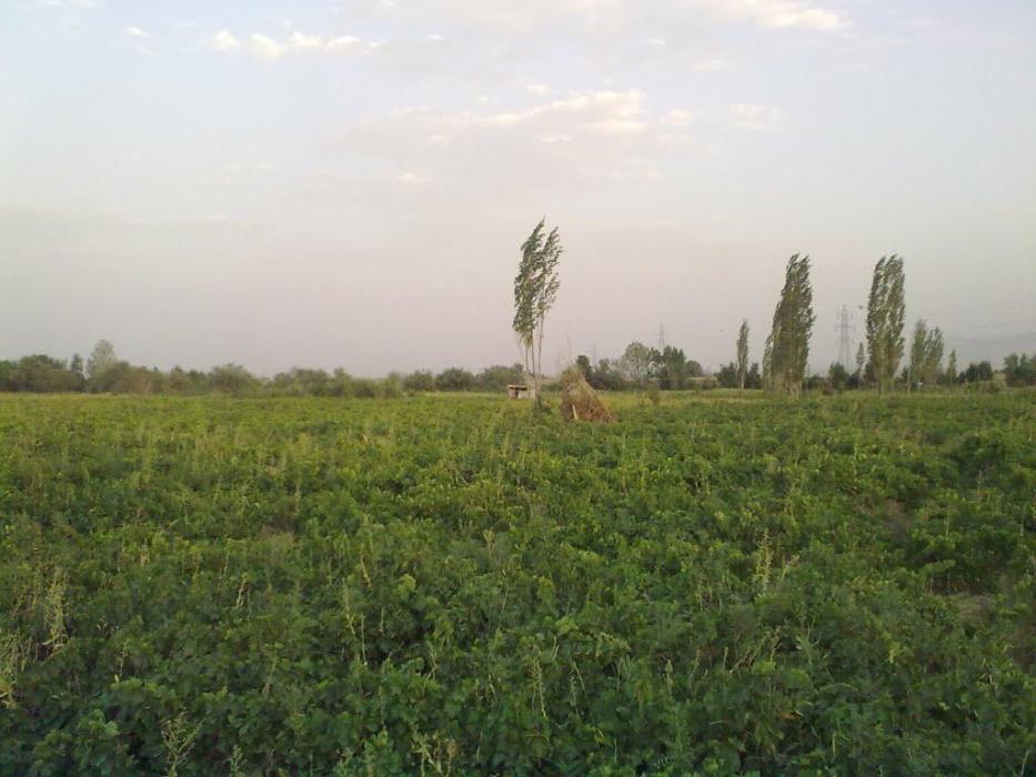 روستای بهادربیگ-uKMCyFs0bz