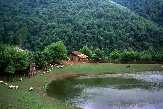روستاهای رضوانشهر ( معرفی ۱۰۵ روستای رضوانشهر )-uMy0wn23Mx