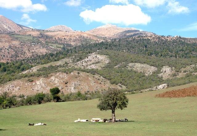 روستای دوسالده-uOtrKHJIh9