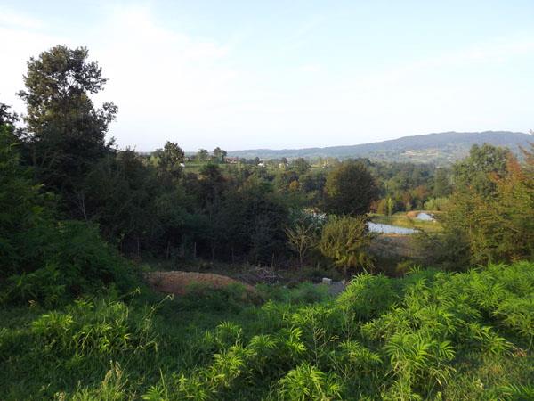 روستای ورس-uRkPCJSuVF