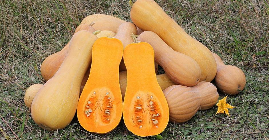 كلوبیج نان گیلان-uYQVhOtw6Y