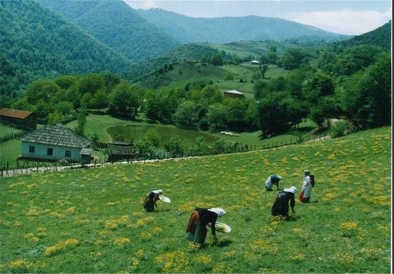 روستاهای رضوانشهر ( معرفی ۱۰۵ روستای رضوانشهر )-udSJuoTP7e