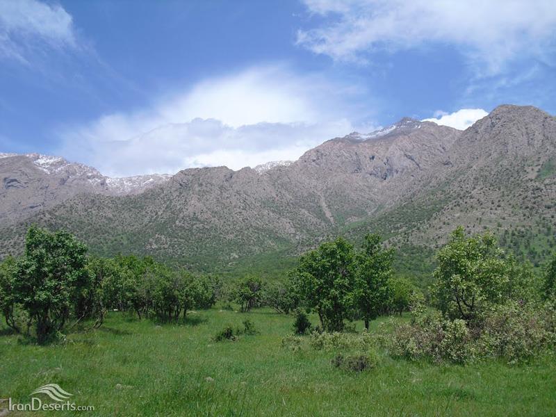 منطقه حفاظت شده كوسالان و شاهو-uiiqp9KgeO