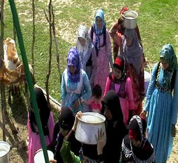 شیرواره در فرهنگ بختیاری-ulnHb35Wbw