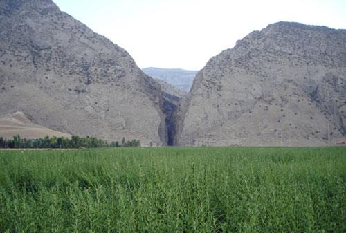 تنگ بهرام چوبین-um1Aqd924t