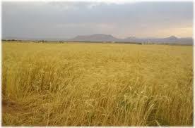 روستای نوجه ده نمین-um9wP76s9C
