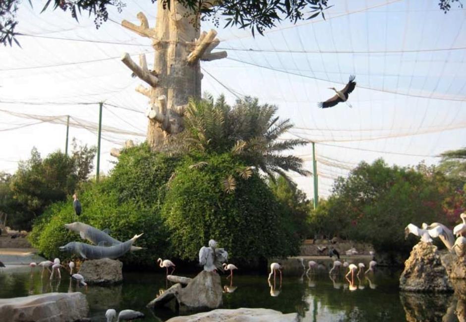 باغ پرندگان كیش-usgt8CmWPd
