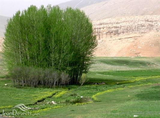 منطقه حفاظت شده دیمه-uwwqGXWqdk