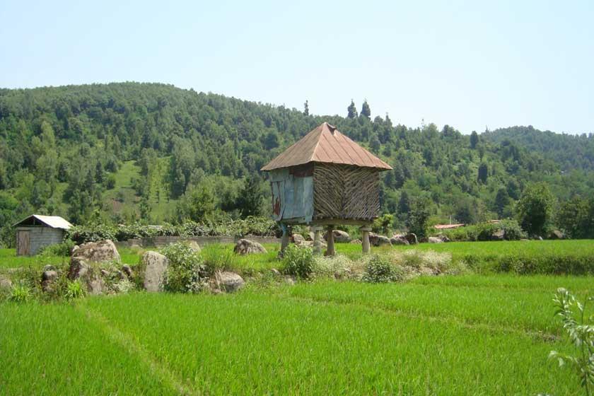 روستاهای تنكابن ( معرفی ۲۹۸ روستای تنكابن ) استان مازندران, تنكابن-uyNV1O5HdX