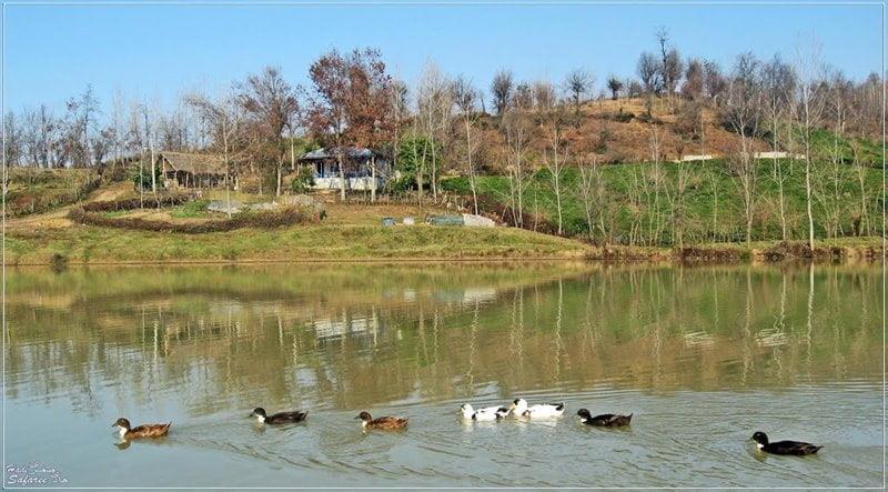 روستای خلیلان شفت-uzGziJMGYI