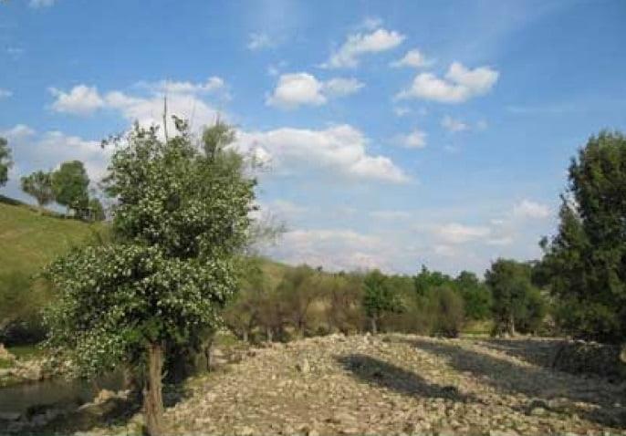 تنگ هونی-vIZEdOTWiJ