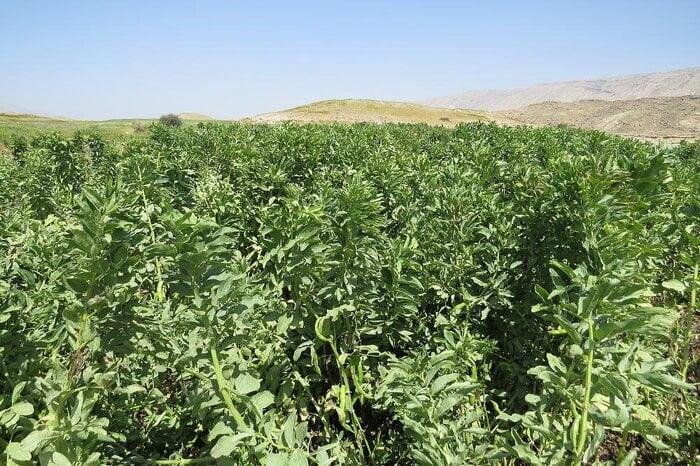 كارواندر ، قطب گردشگری خاش-vSQTp9hC4S