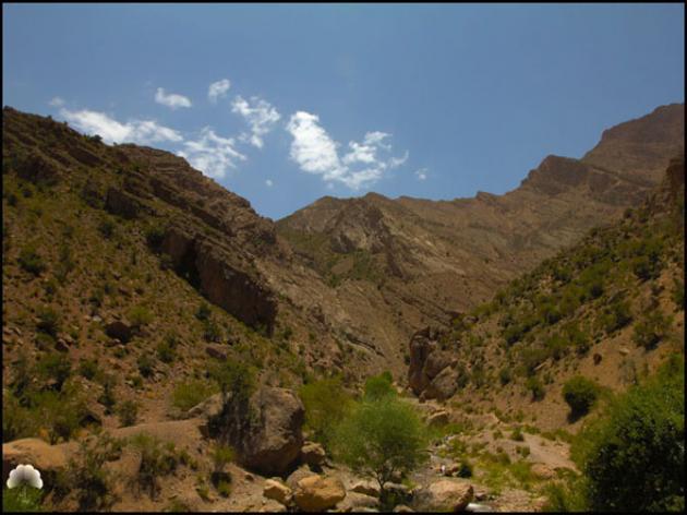 تیگران-vV3CEnkvQf