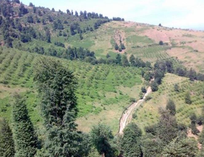 روستای شوك-vVA1ZwqLg8