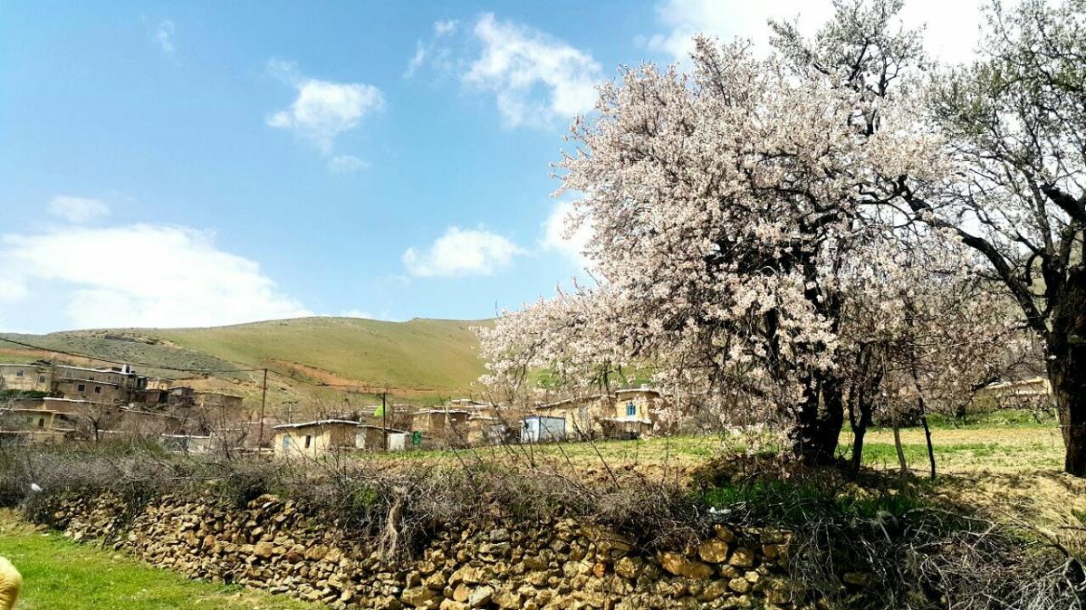 روستای پریان صحنه-vbBpDw0gMD