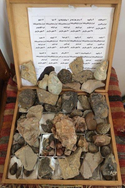 موزه سنگ و فسیل سنگسر-vwR7gbnYtN