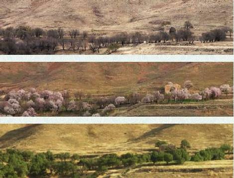 روستای نویس-w1heOJGfhg