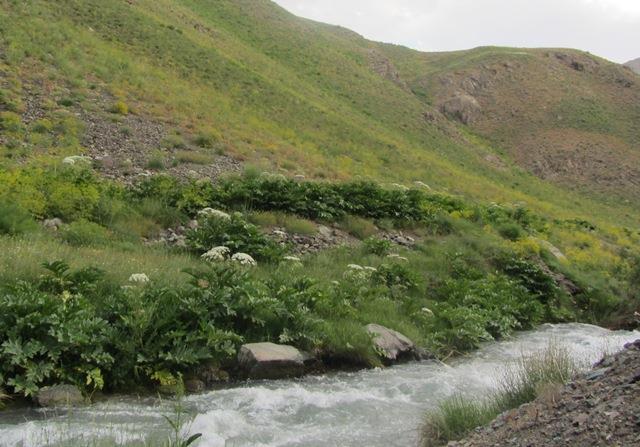 روستای حسنكدر-w3VgCYZcBm