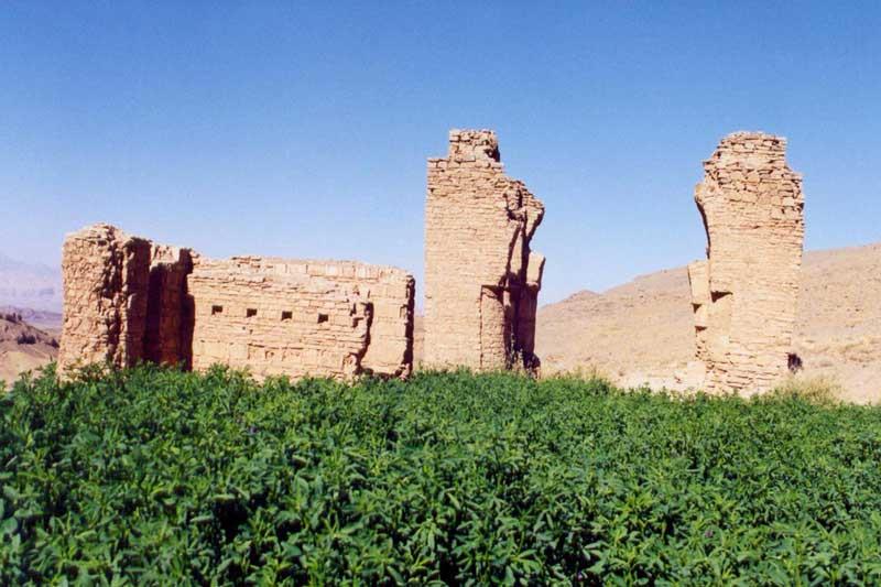جاهای دیدنی محلات در بهار-w92K3hGook