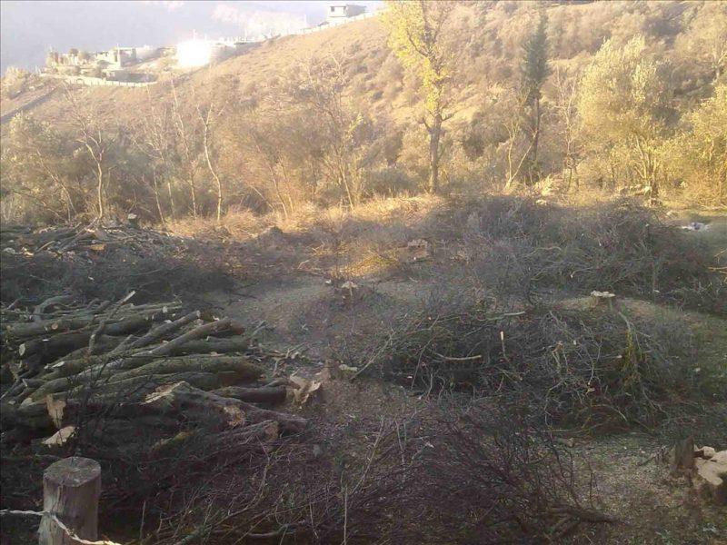 روستای كلشتر-wTbqoM1Pgf