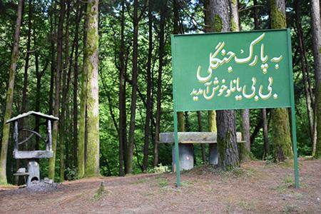 بزرگ ترین پاركهای جنگلی ایران-wXfcg66lj5
