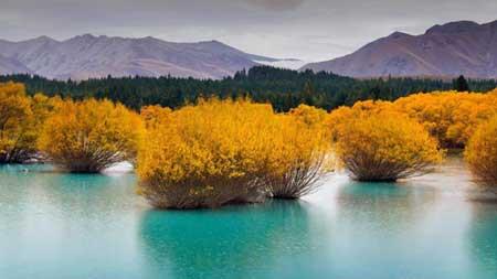 گشت و گذار در طبیعت وحشی نیوزیلند-woSRz6QZir