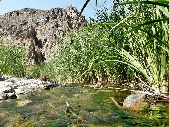 تفرجگاه خارزنج خلیل آباد-wox6NVNRlm