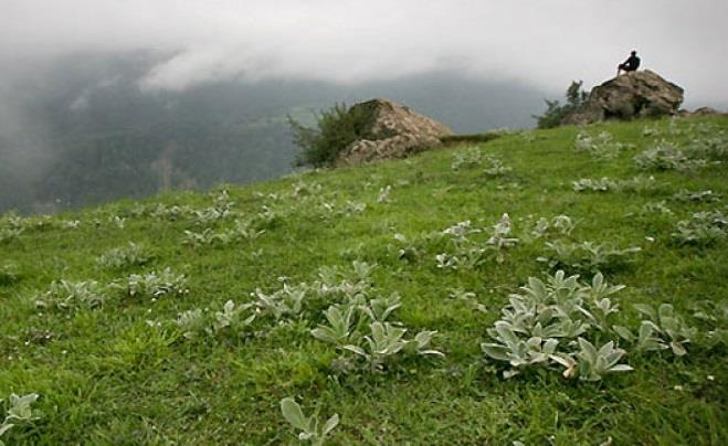 روستای جواهرده-wra9JkzvR4
