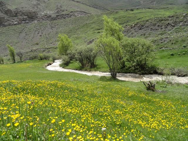 روستای نج بلده-wrx80qRavH