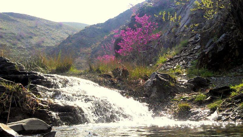 روستای كلاته آهن-wz0rbOGvhB