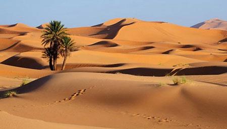 بیابان های زیبا و شگفت انگیز در جهان-wzmkde86q9