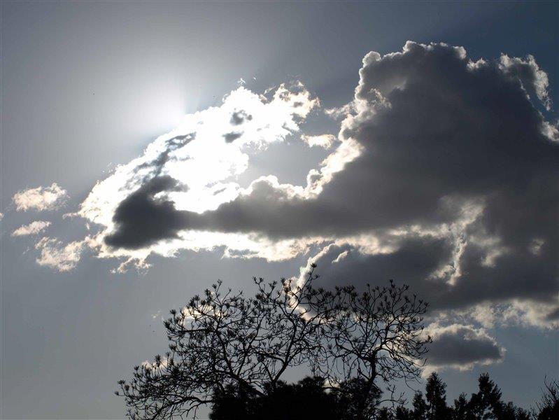 پارك شیرین ( تپه شاهد )-wzsnaZVFm6