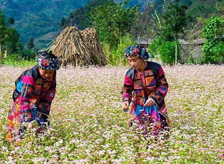 پیاده روی در ها گیانگ Ha Giang-x0fhwoayGF