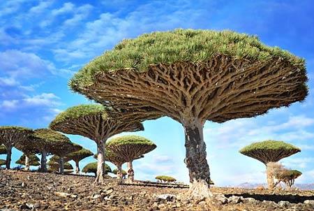 تصاویری از مكانهای عجیب و دیدنی روی كره زمین-x2UtSWXk38