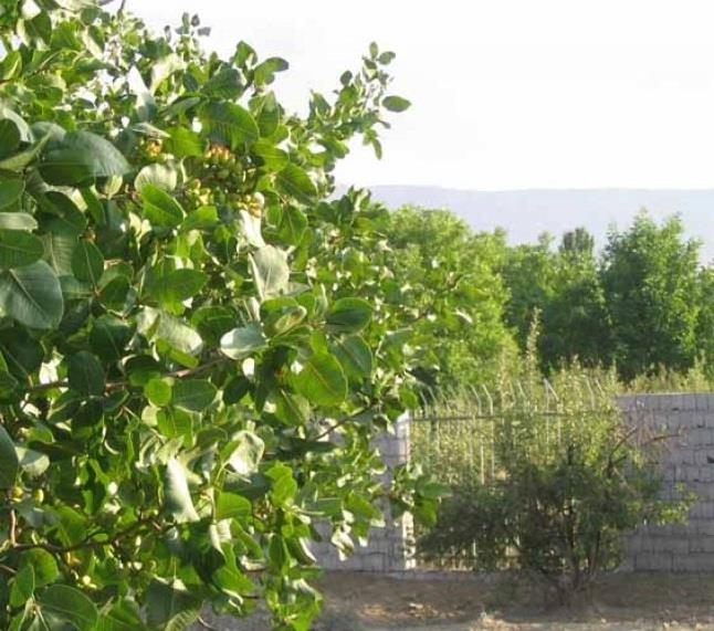 روستای موركان-x8jIcNjR3Y