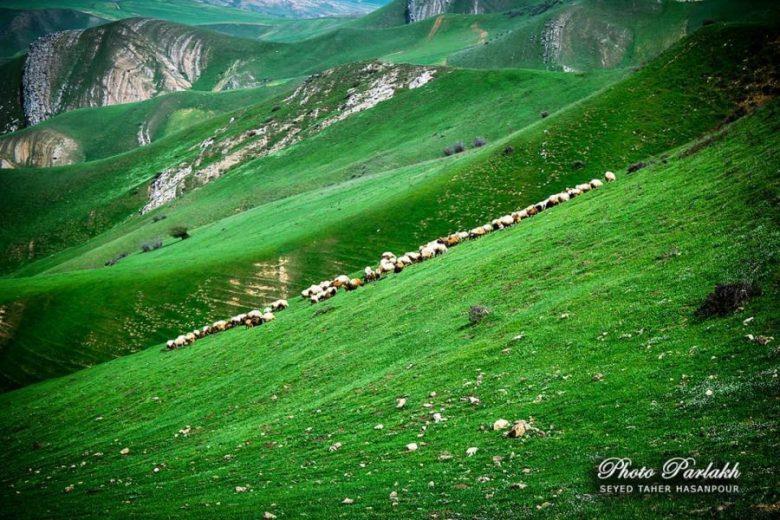 جاهای دیدنی جعفر آباد در استان اردبیل-xFPb3evNBs