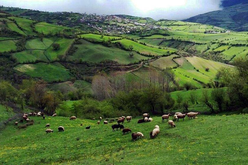 روستای كچپ‌ محله نكا-xH9EDa5MAW