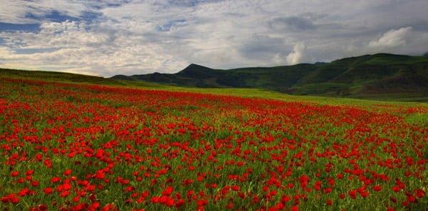 روستاهای پارس آباد ( معرفی ۲۳۴ روستای پارس آباد )-xPJXNpQFBG