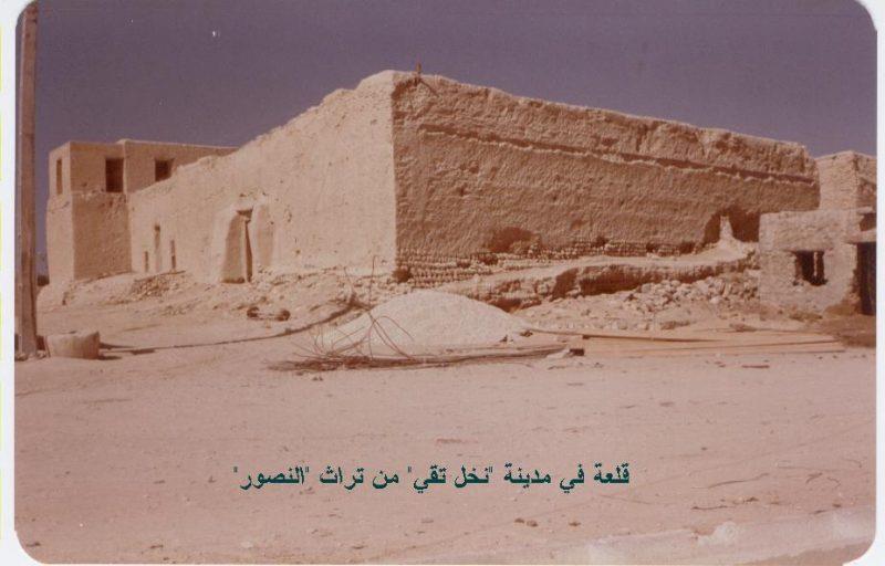شهر نخل تقی-xaNMKwdFfo