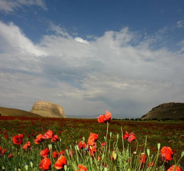 هتل باری ارومیه-xbCdrlSOsc